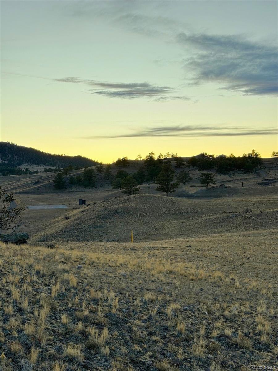 391 Gulch Road Hartsel CO 80449