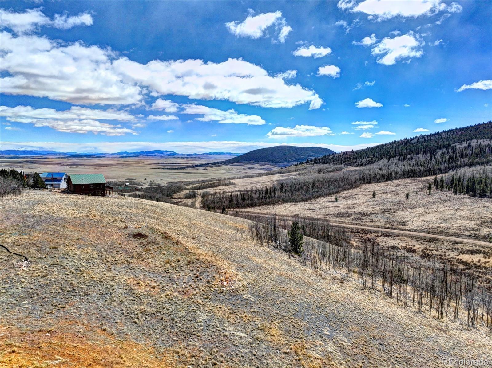 2515 High Creek Road Fairplay CO 80440