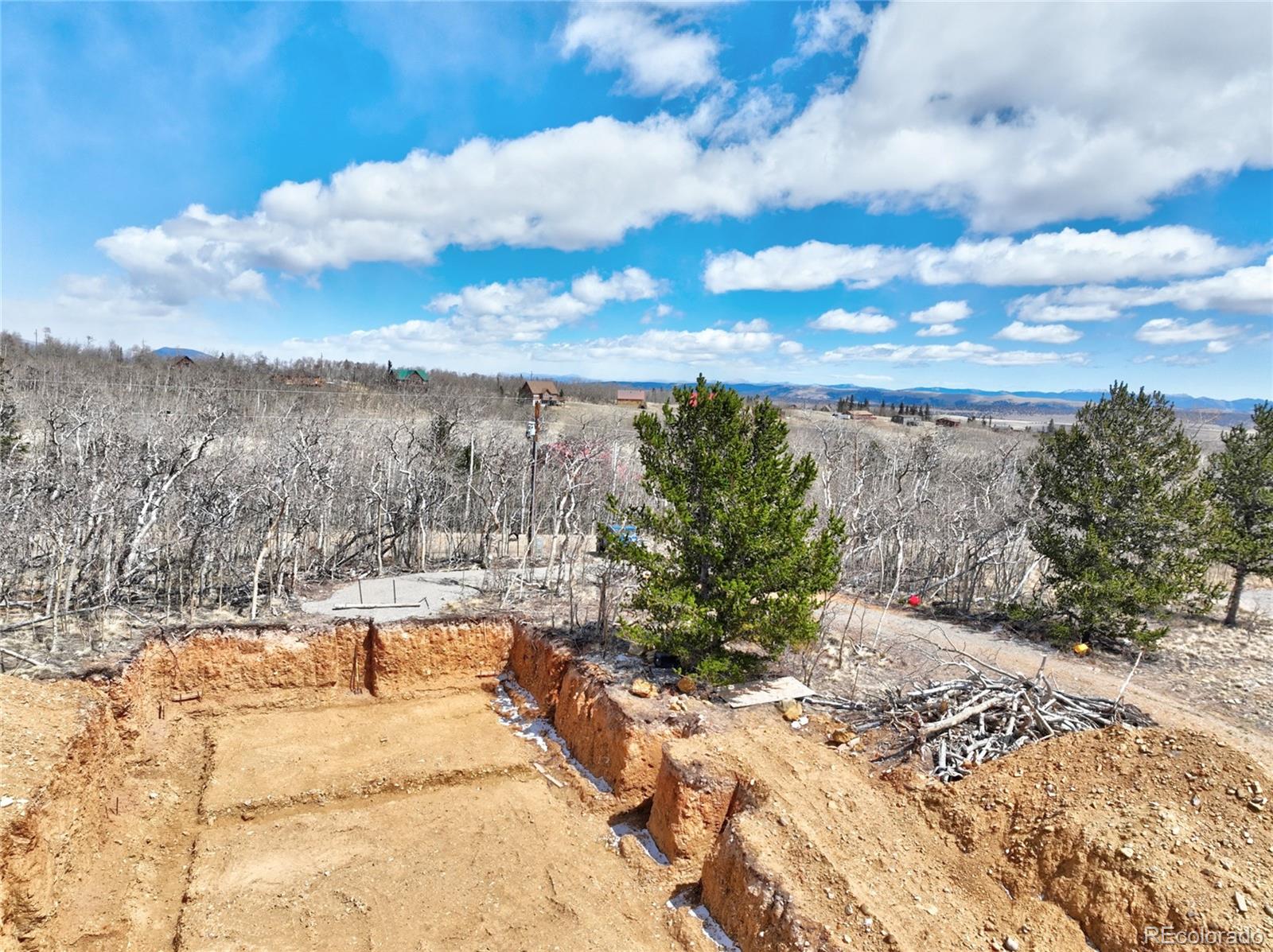 2515 High Creek Road Fairplay CO 80440