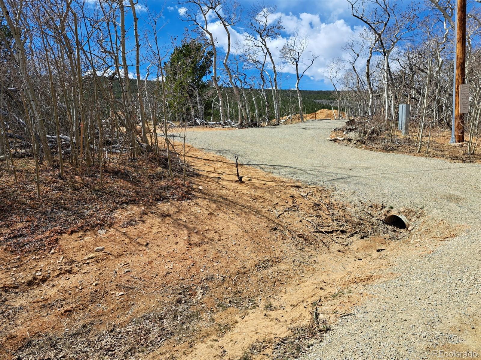 2515 High Creek Road Fairplay CO 80440
