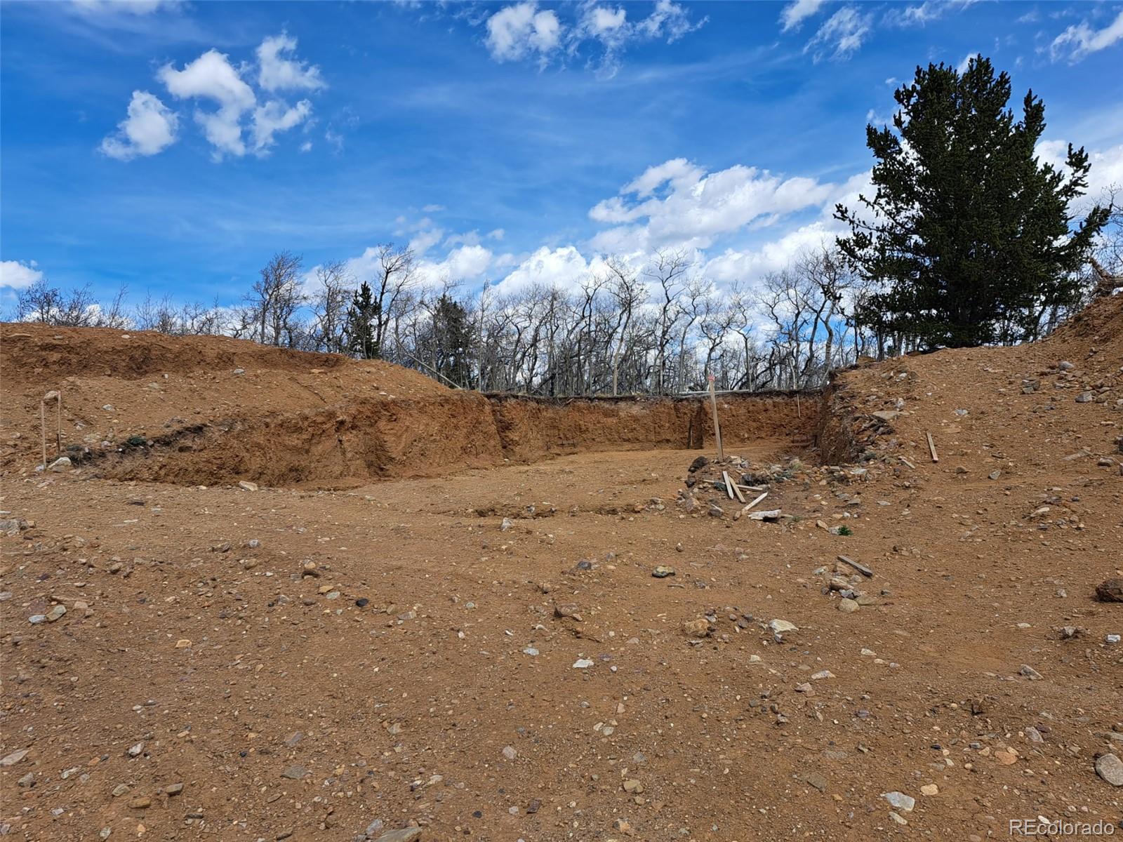 2515 High Creek Road Fairplay CO 80440
