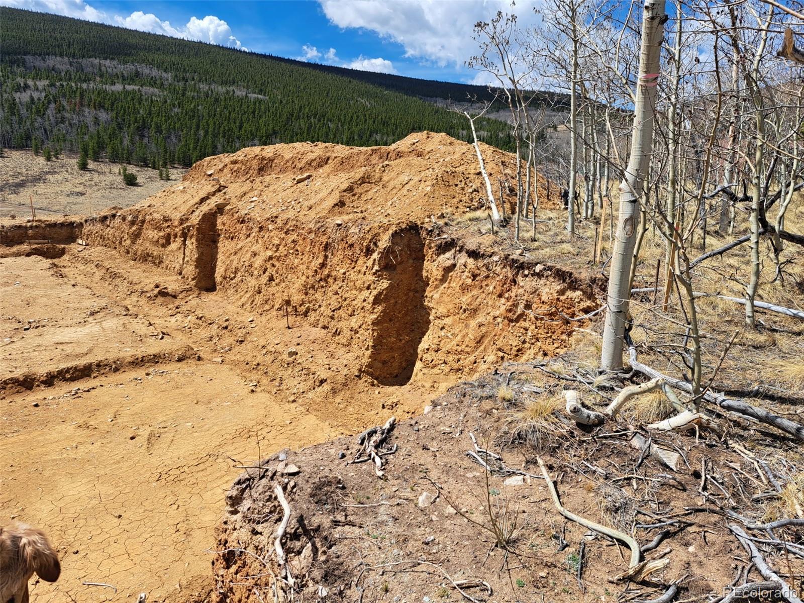 2515 High Creek Road Fairplay CO 80440