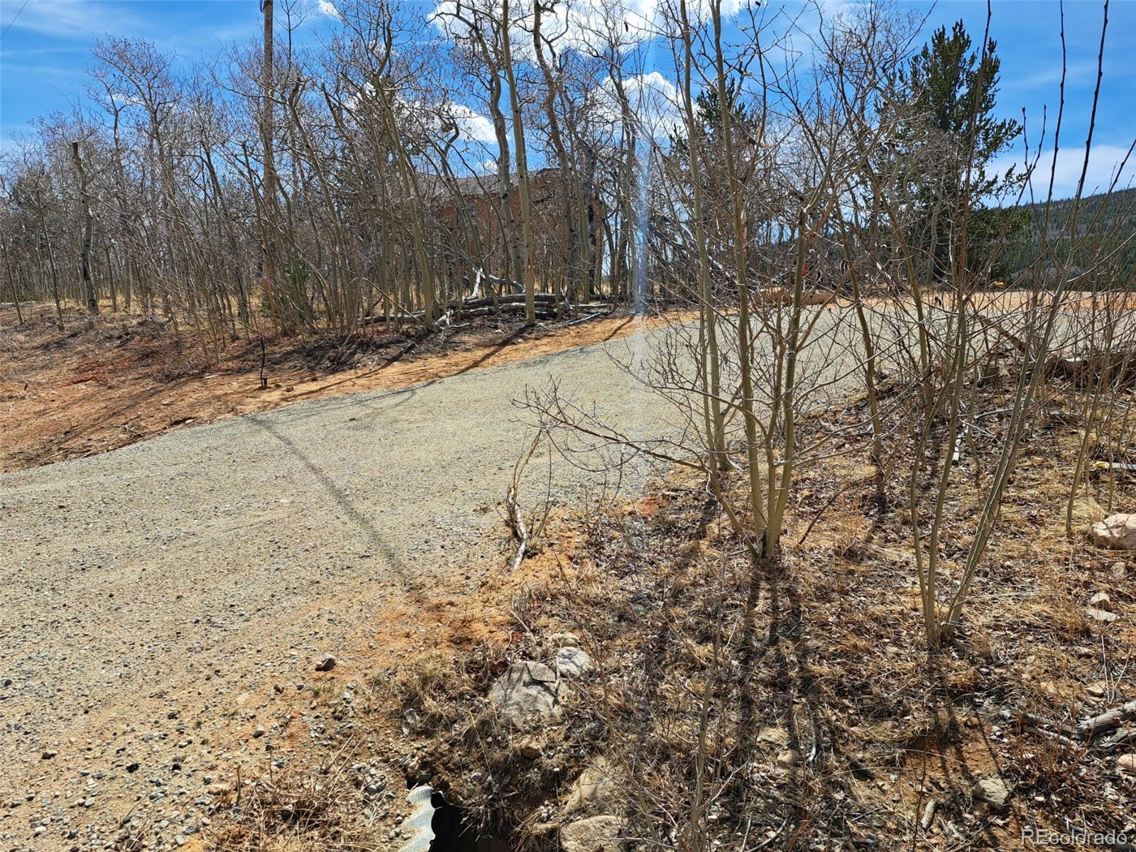 2515 High Creek Road Fairplay CO 80440