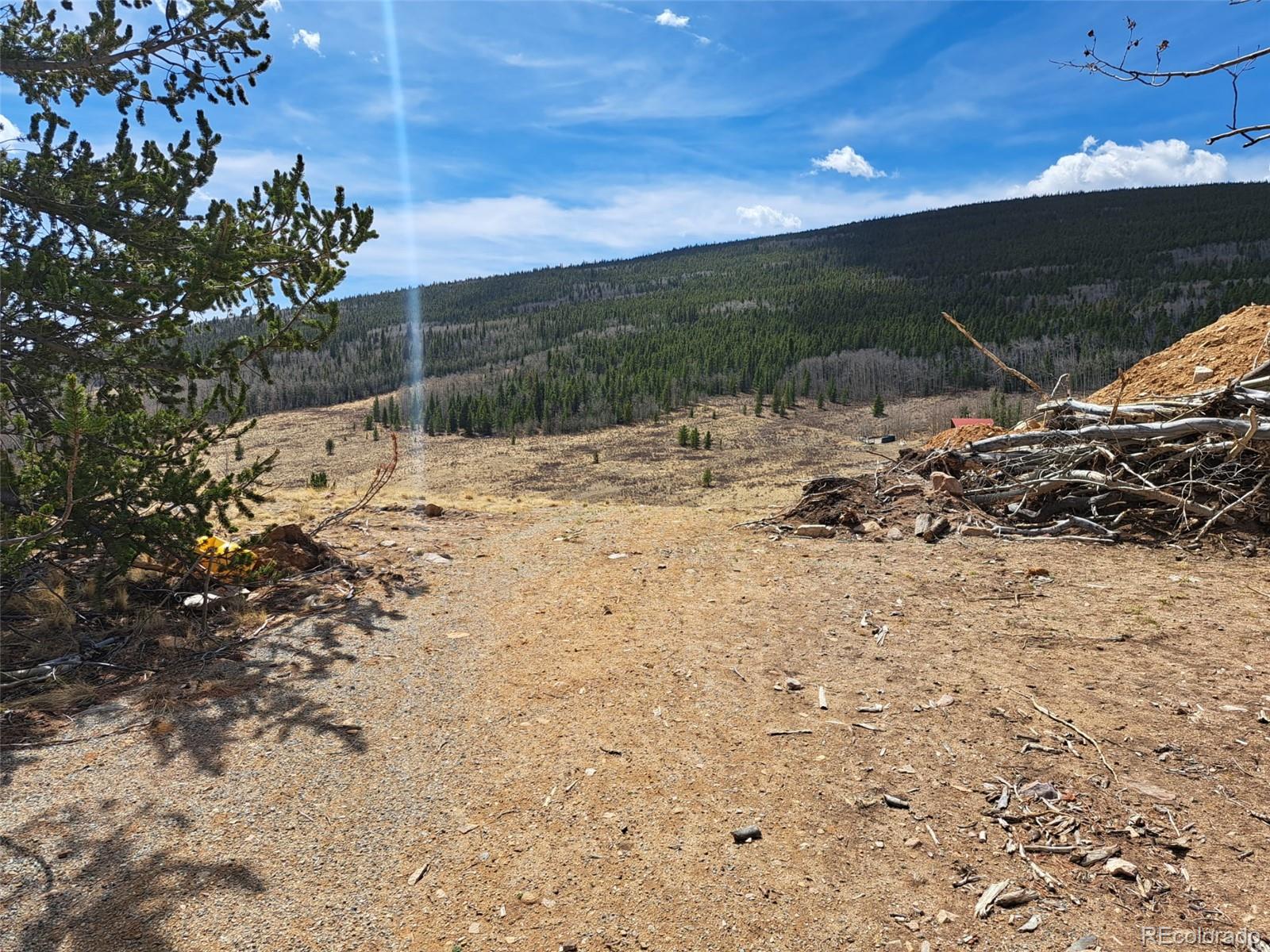 2515 High Creek Road Fairplay CO 80440