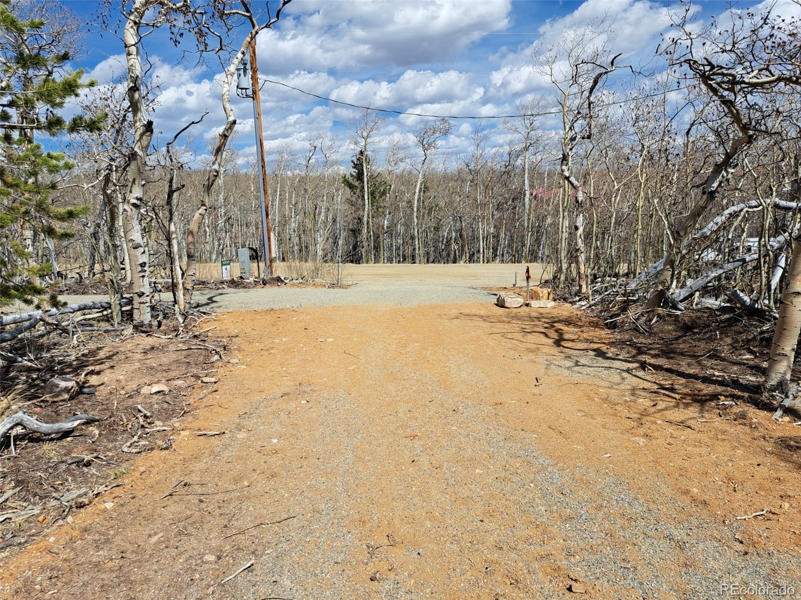 2515 High Creek Road Fairplay CO 80440