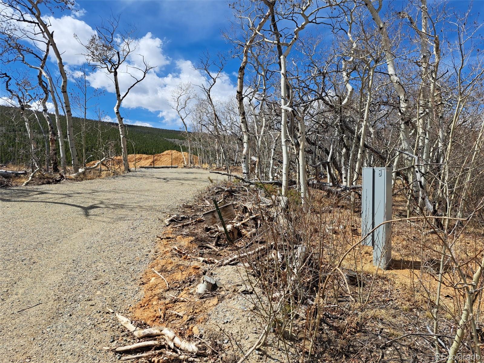 2515 High Creek Road Fairplay CO 80440