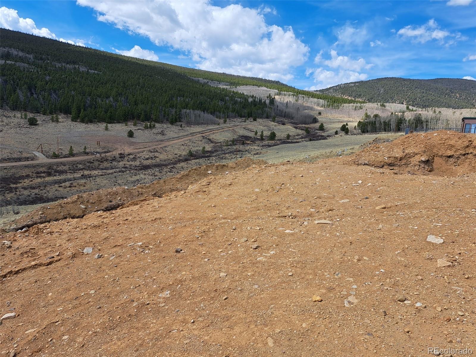 2515 High Creek Road Fairplay CO 80440