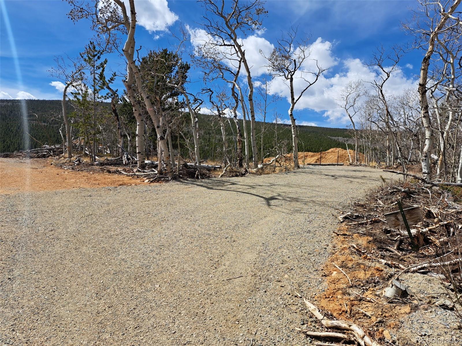 2515 High Creek Road Fairplay CO 80440