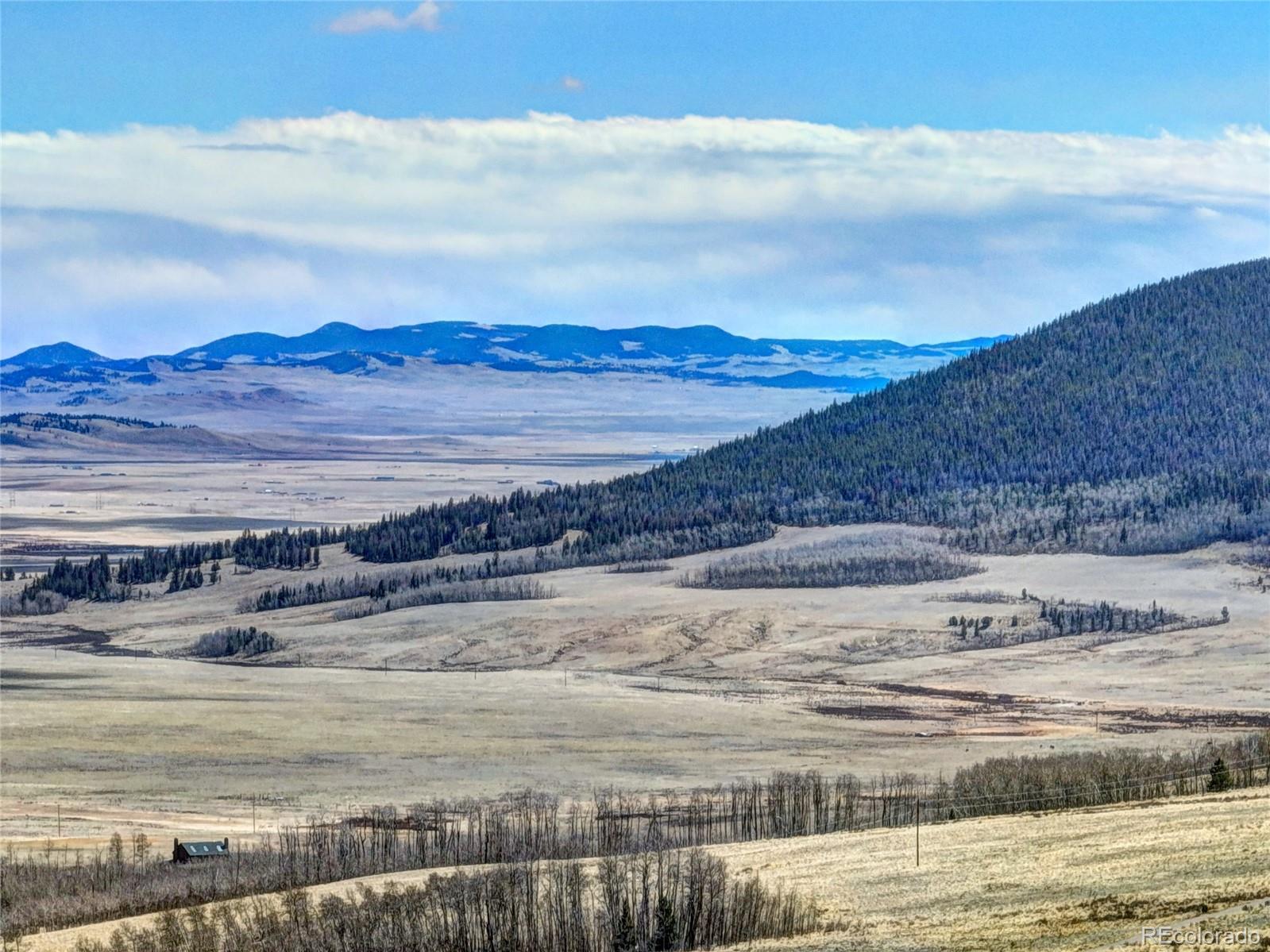 2515 High Creek Road Fairplay CO 80440