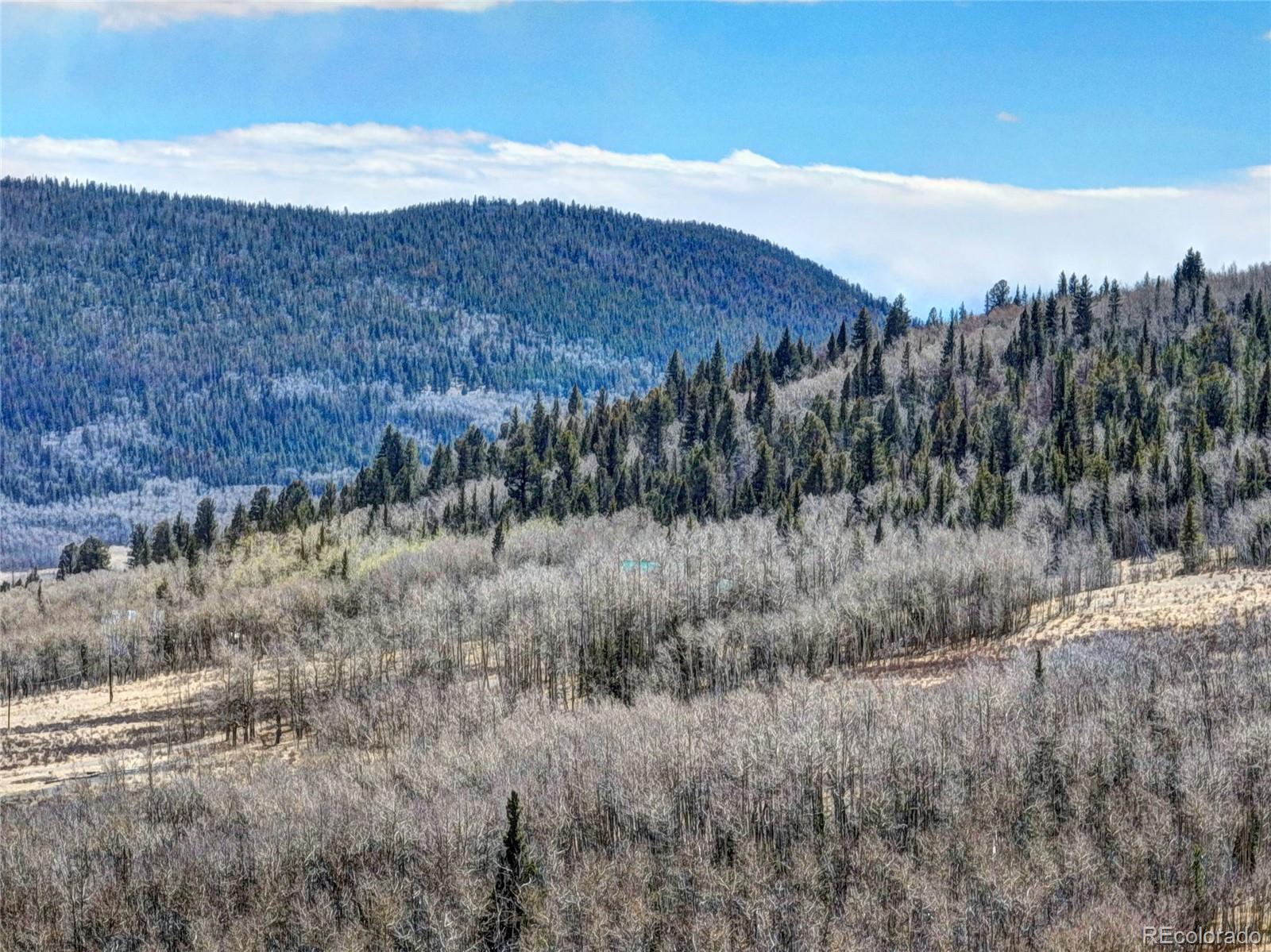 2515 High Creek Road Fairplay CO 80440