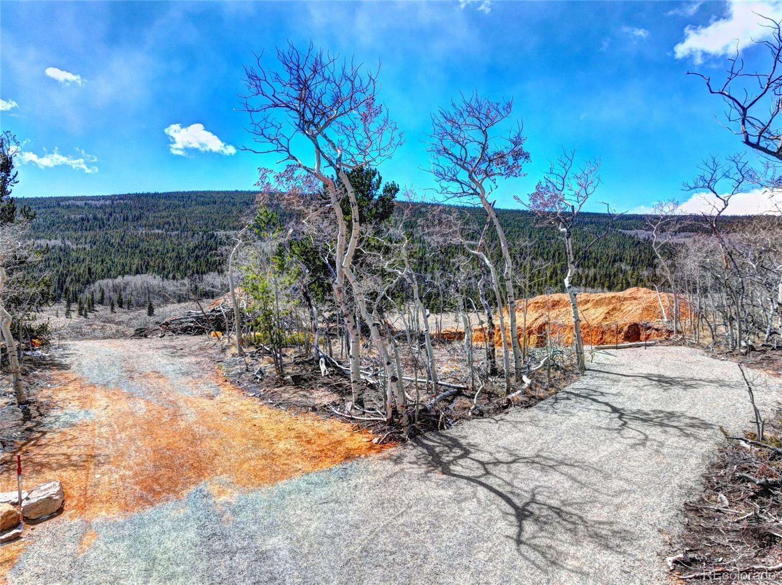 2515 High Creek Road Fairplay CO 80440