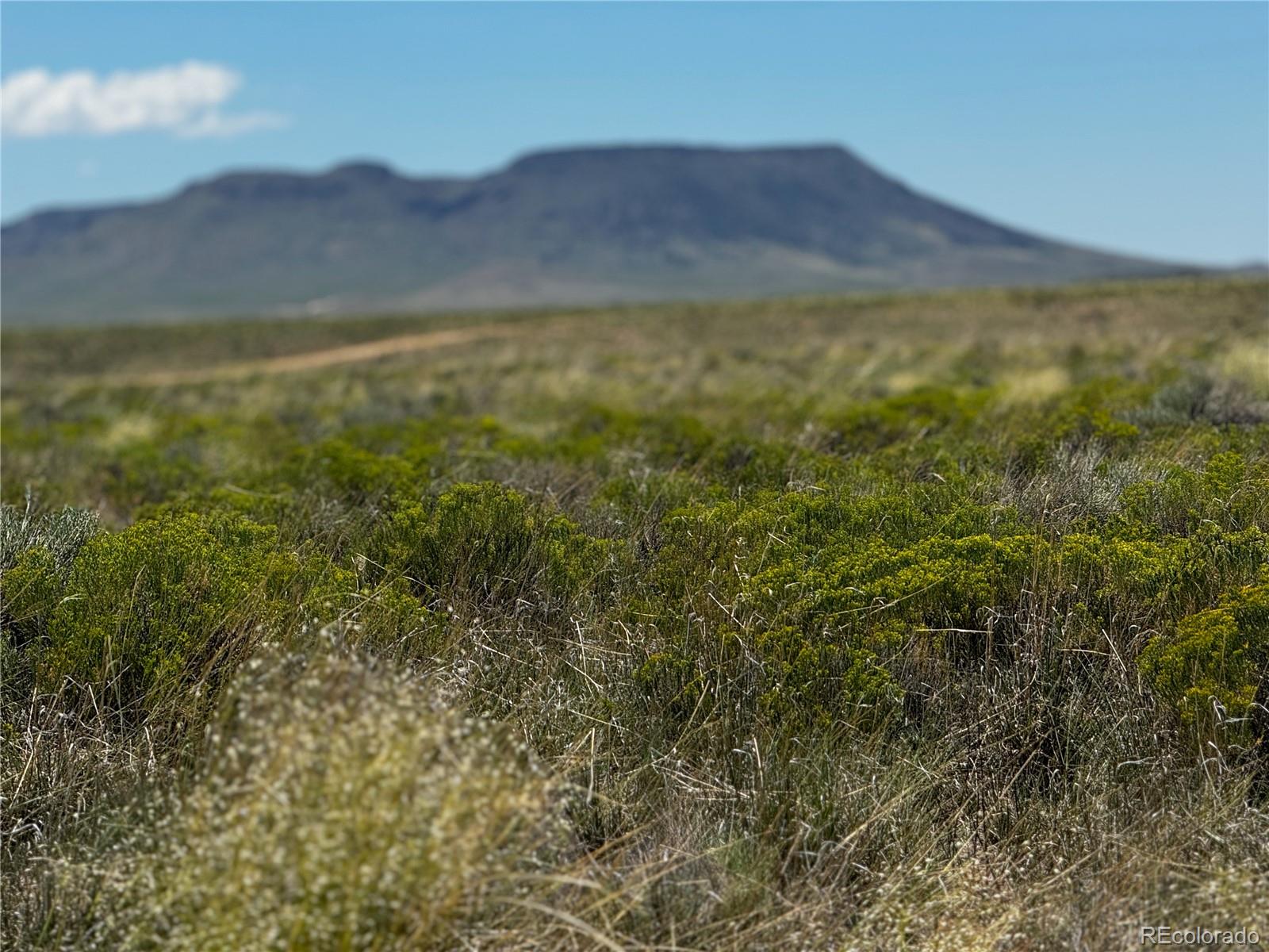 Lot 3 Joseph Loop San Luis CO 81152