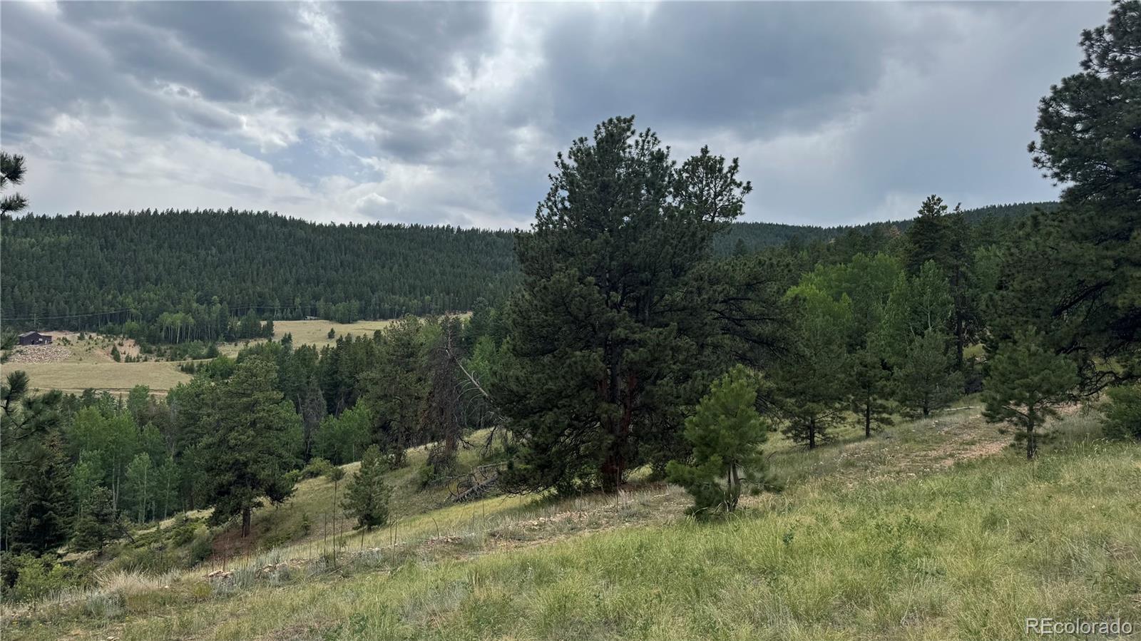 003 Church Placer Road Central City CO 80427