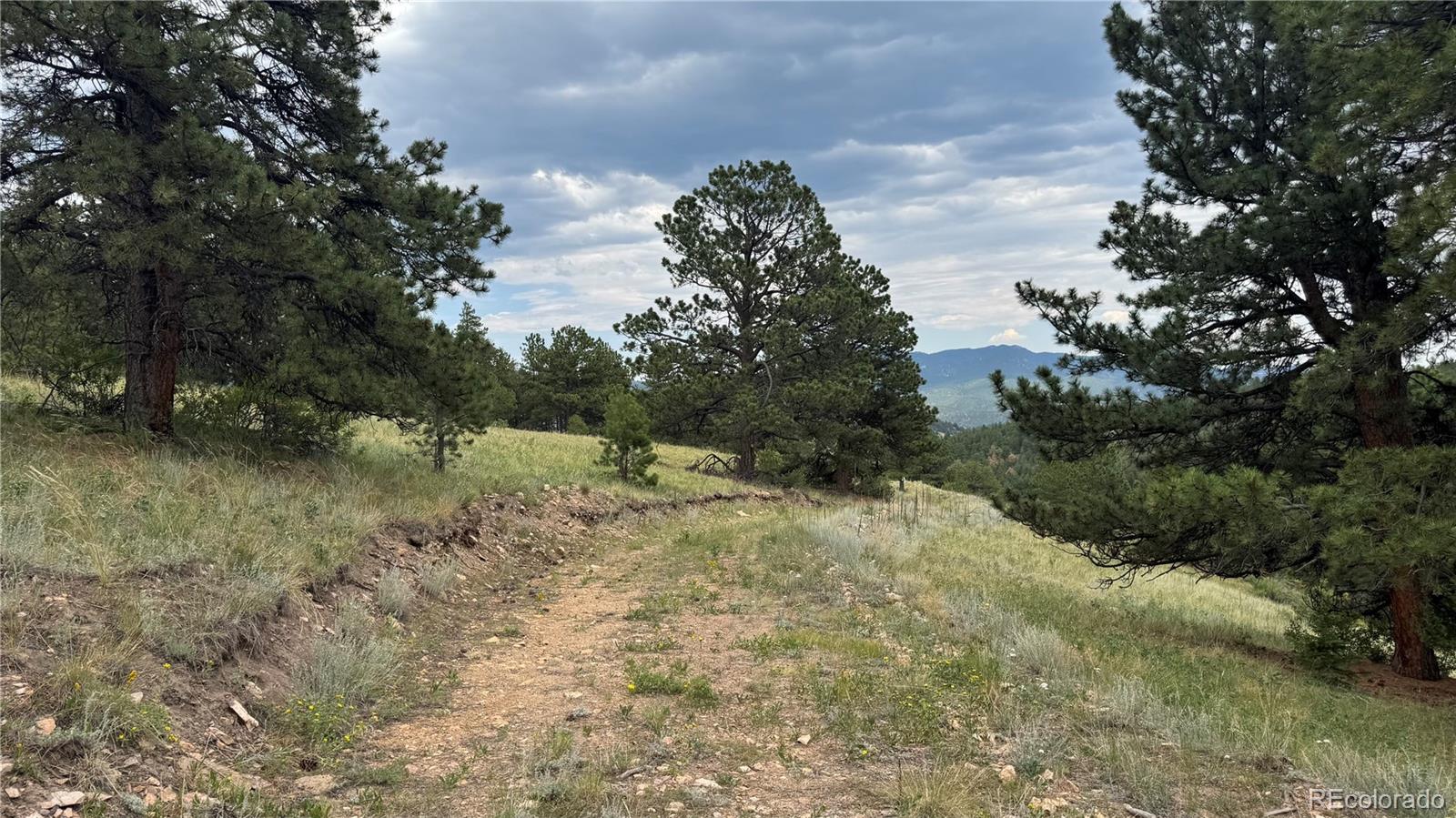 003 Church Placer Road Central City CO 80427