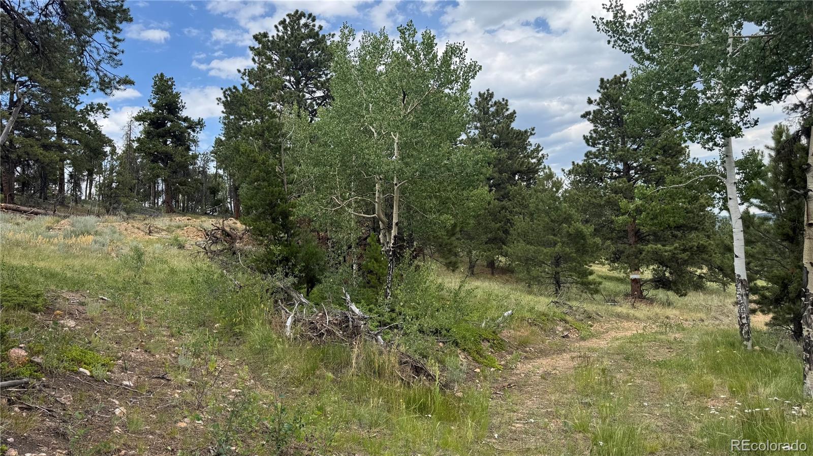 003 Church Placer Road Central City CO 80427
