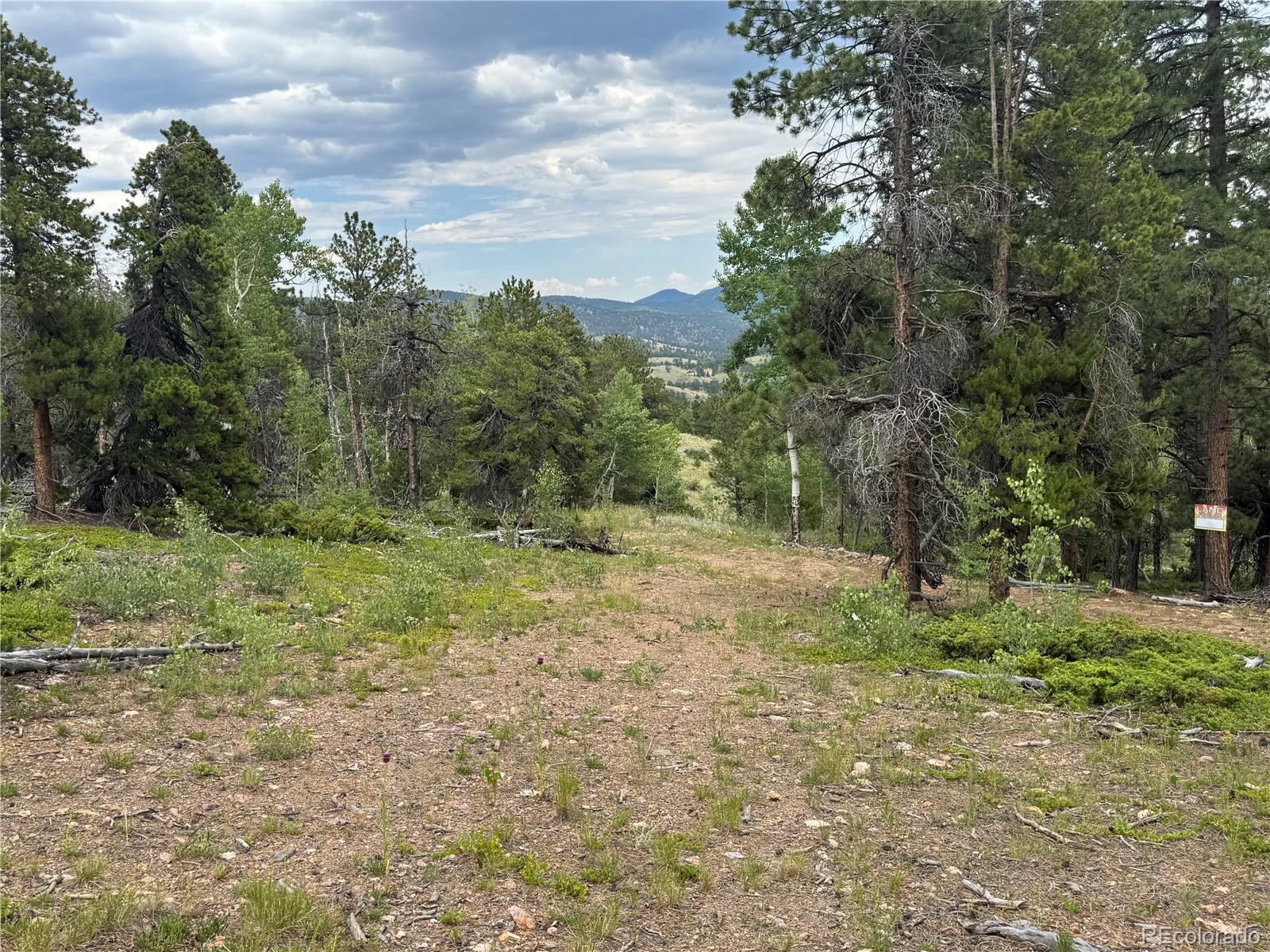 003 Church Placer Road Central City CO 80427