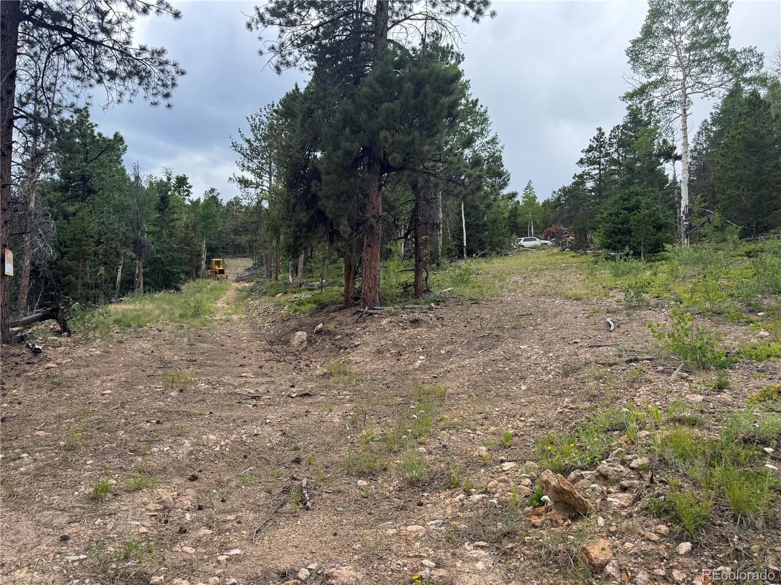 003 Church Placer Road Central City CO 80427