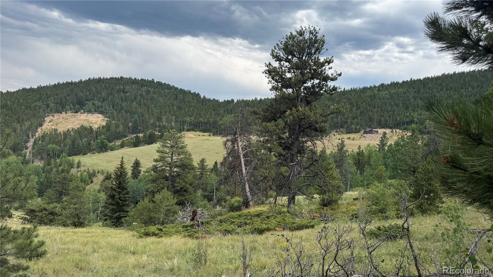 003 Church Placer Road Central City CO 80427