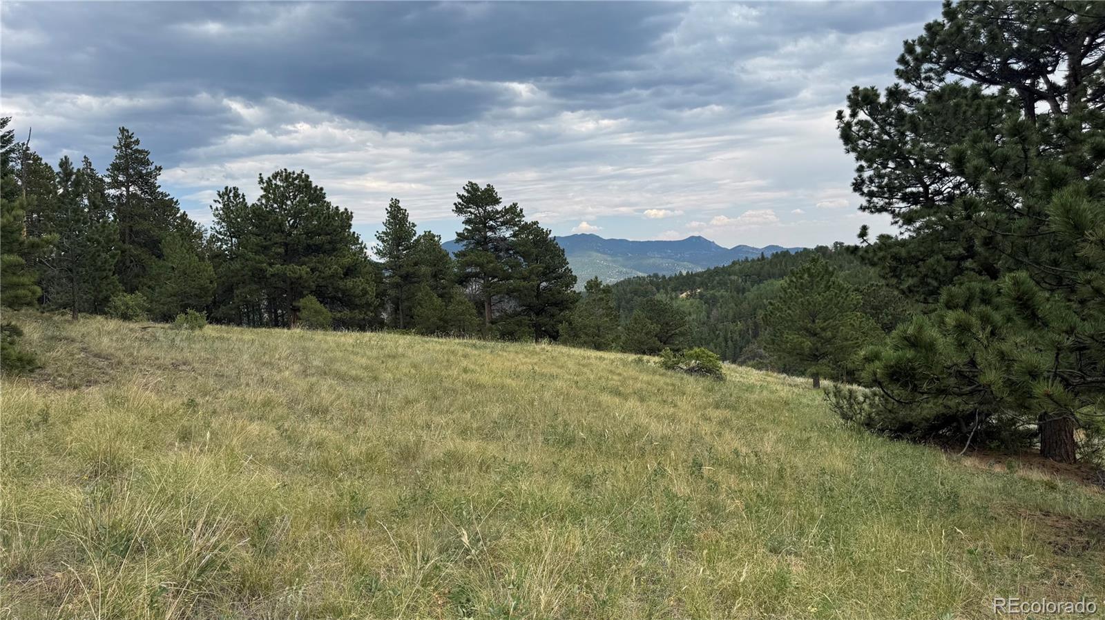 003 Church Placer Road Central City CO 80427