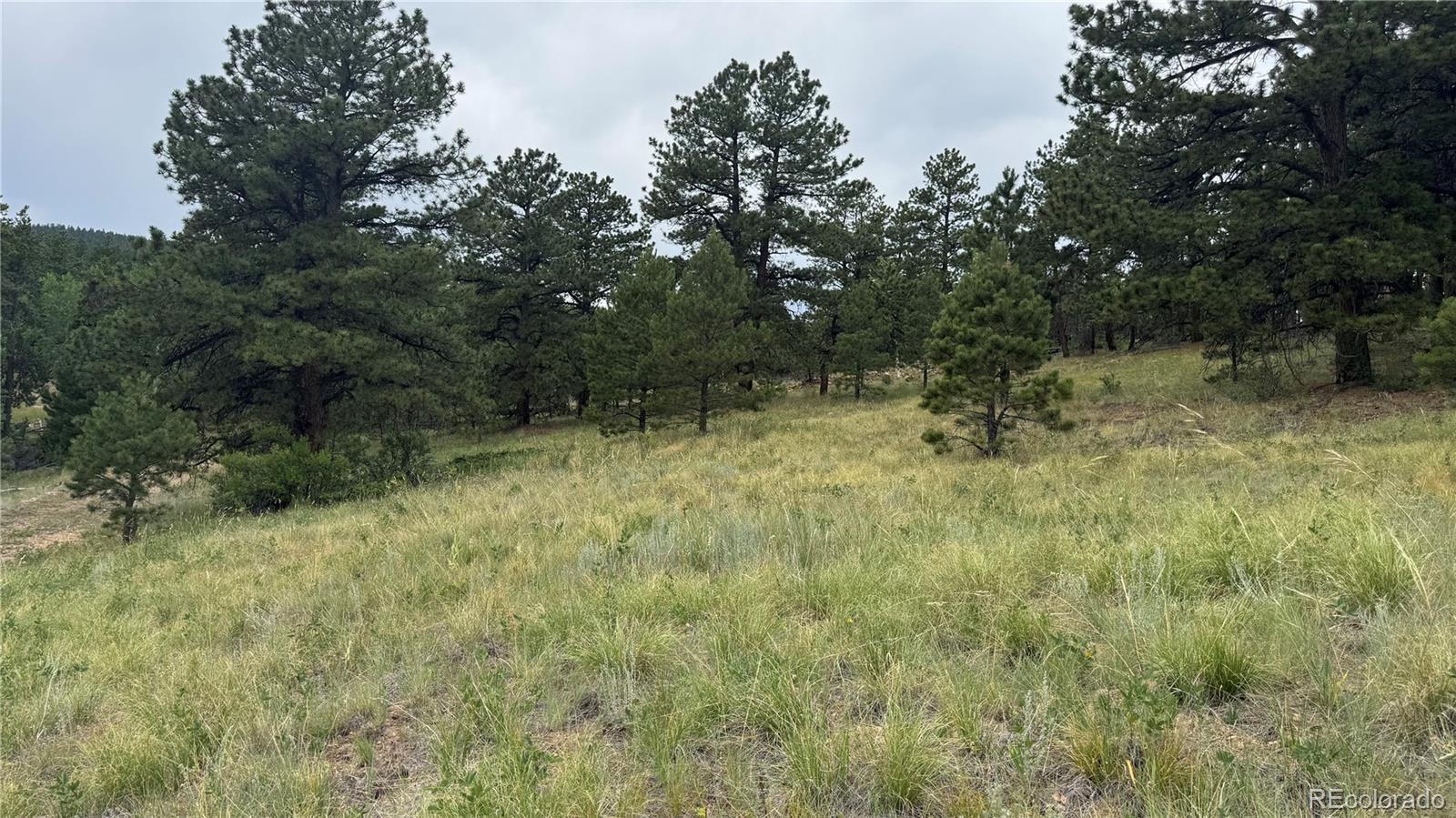 003 Church Placer Road Central City CO 80427