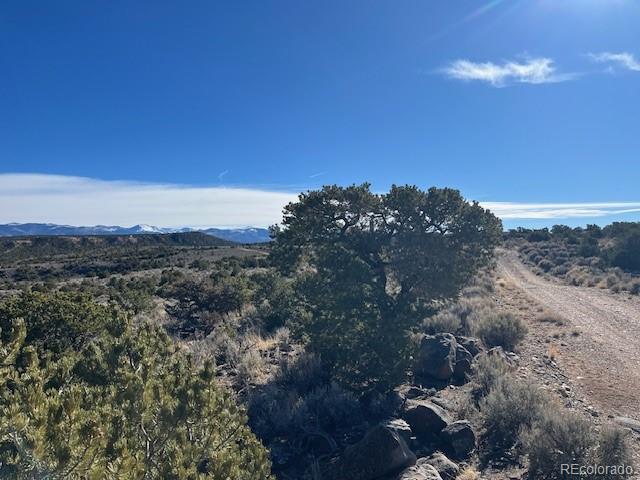 Lot 2535 Simone Road Fort Garland CO 81133
