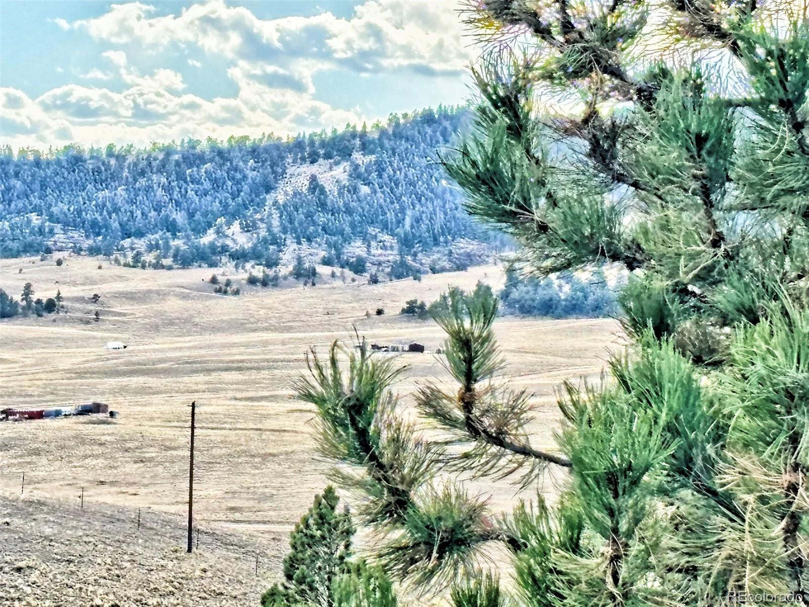 115 Black Canyon Court Hartsel CO 80449
