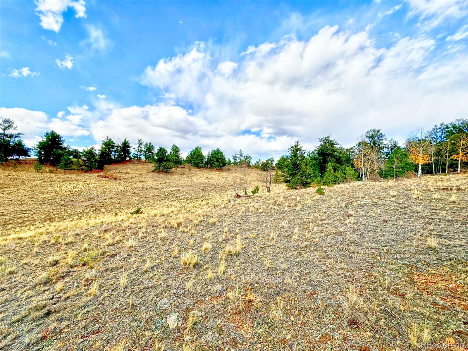 115 Black Canyon Court Hartsel CO 80449
