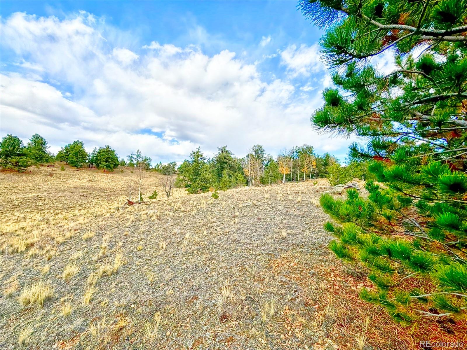 115 Black Canyon Court Hartsel CO 80449