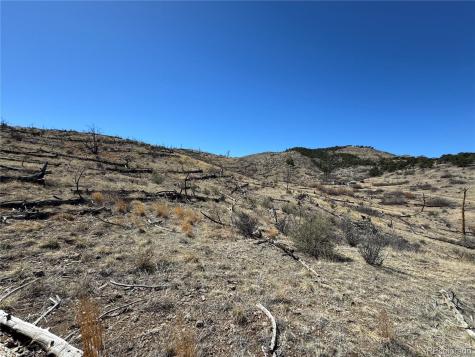 Tbd 32nd F Path Cotopaxi CO 81223