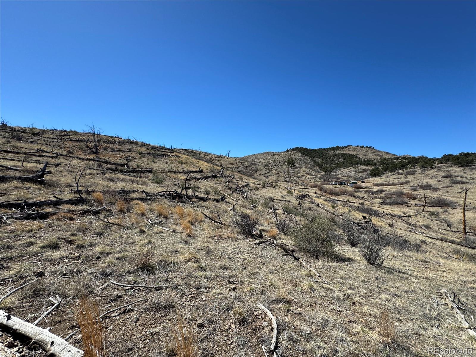 Tbd 32nd F Path Cotopaxi CO 81223