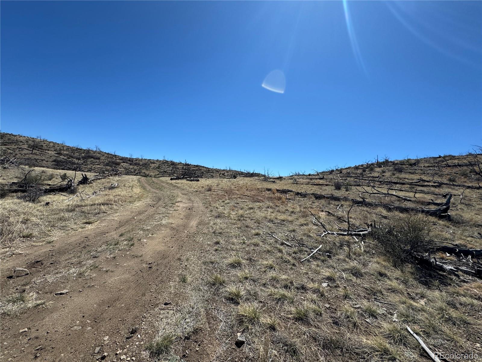 Tbd 32nd F Path Cotopaxi CO 81223