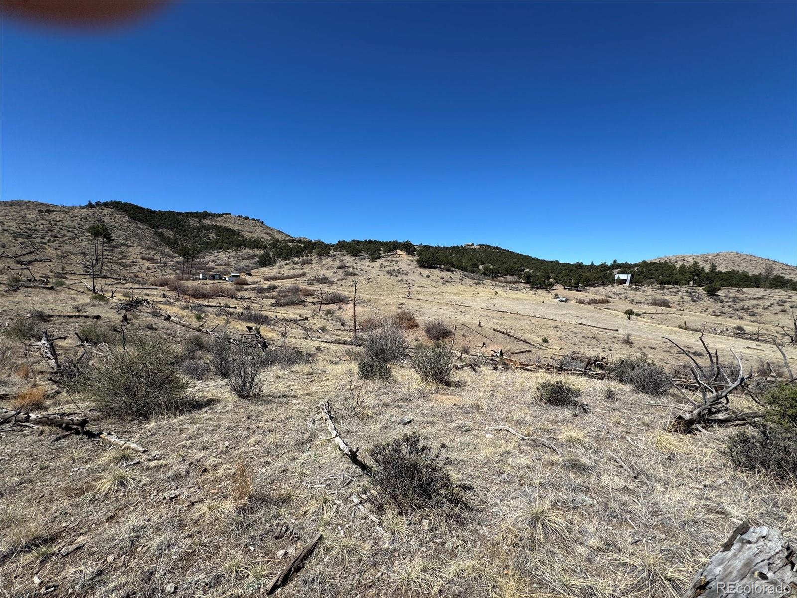 Tbd 32nd F Path Cotopaxi CO 81223