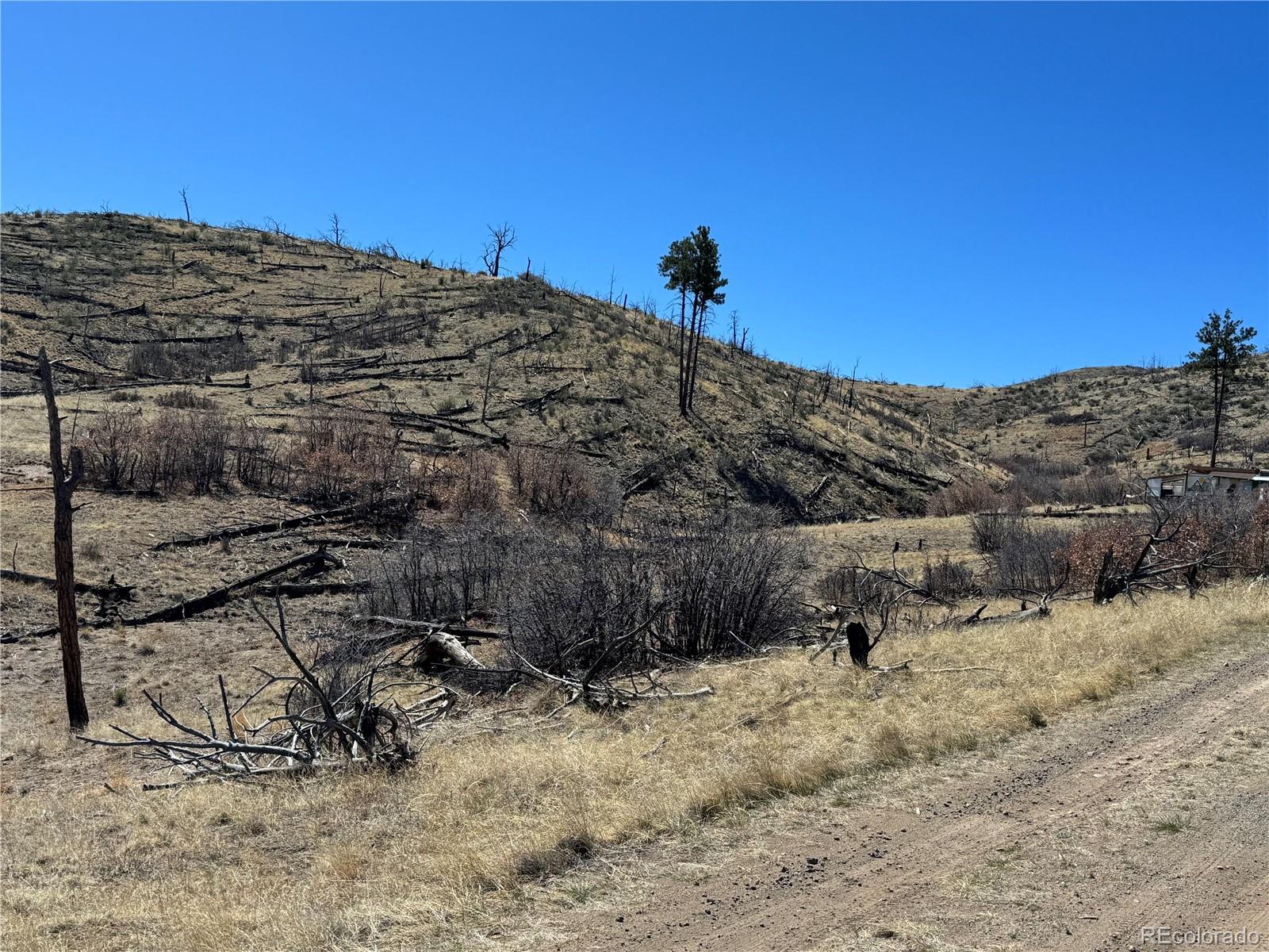 Tbd 32nd F Path Cotopaxi CO 81223