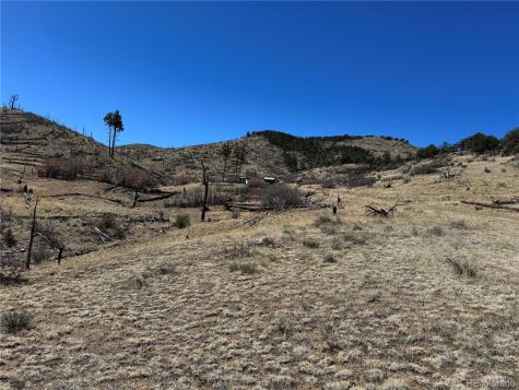 Tbd 32nd F Path Cotopaxi CO 81223