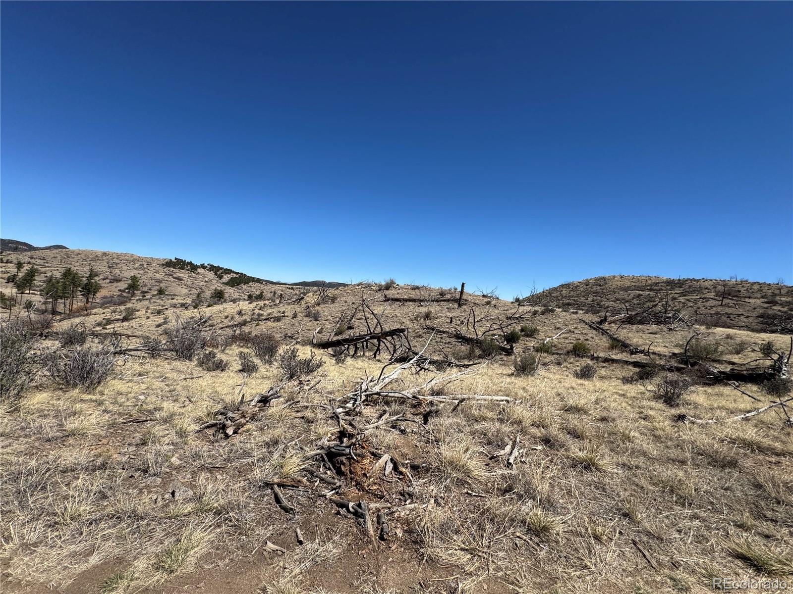 Tbd 32nd F Path Cotopaxi CO 81223