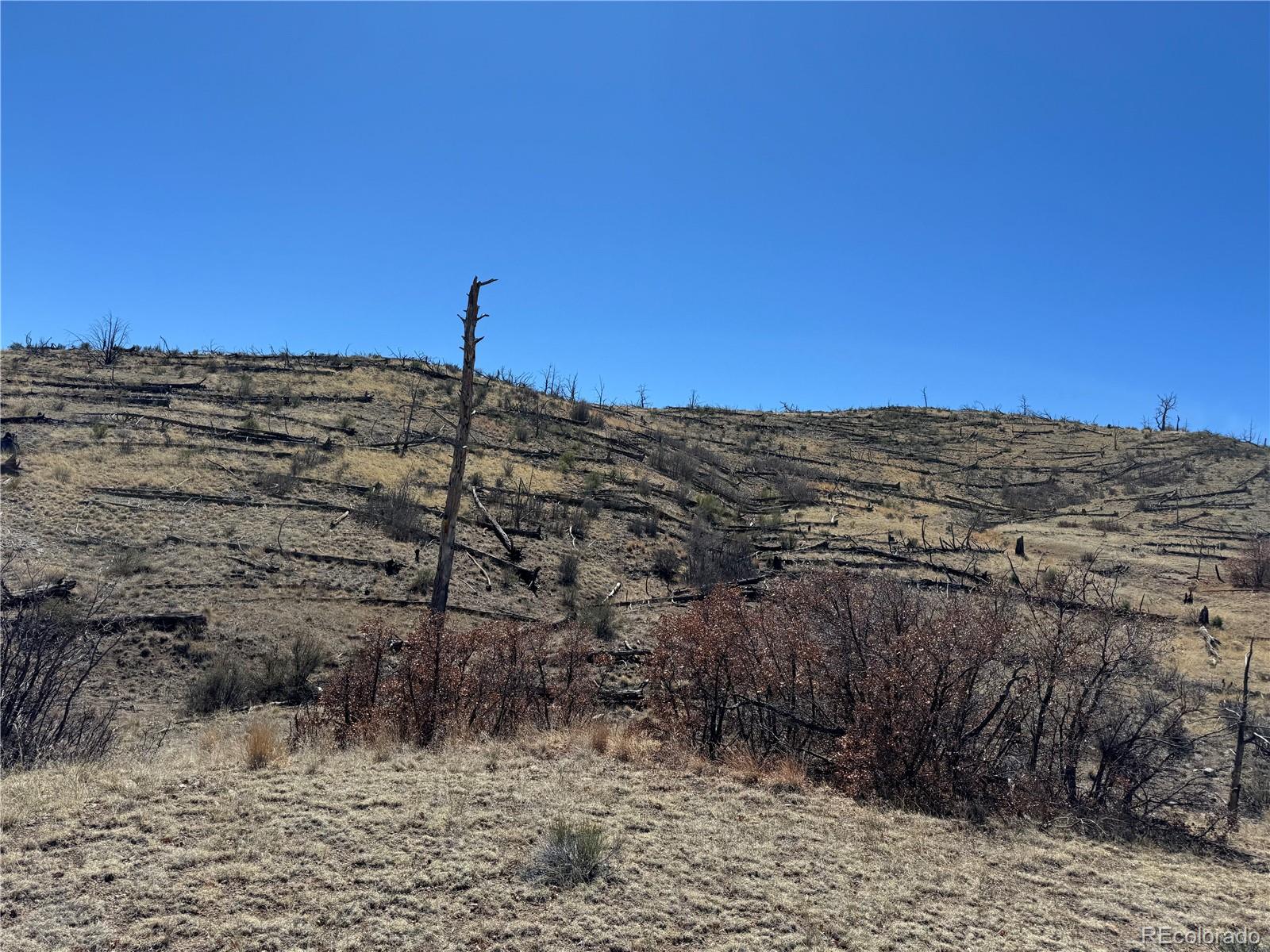 Tbd 32nd F Path Cotopaxi CO 81223