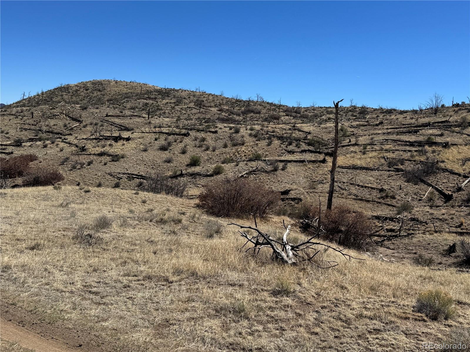 Tbd 32nd F Path Cotopaxi CO 81223