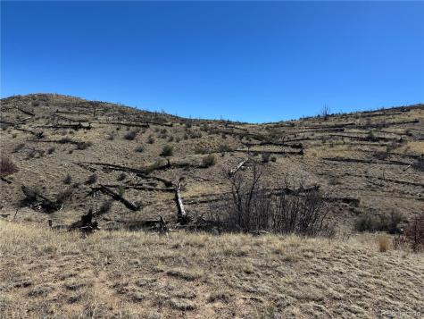 Tbd 32nd F Path Cotopaxi CO 81223