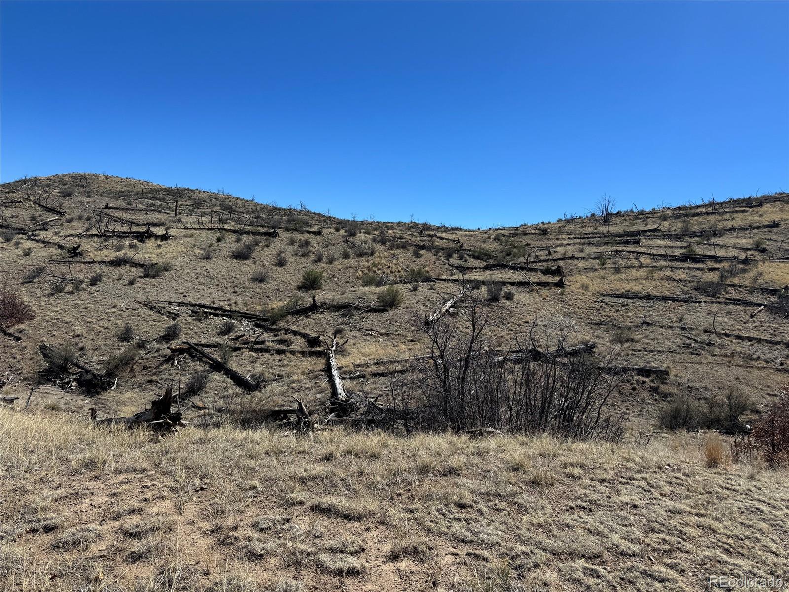 Tbd 32nd F Path Cotopaxi CO 81223