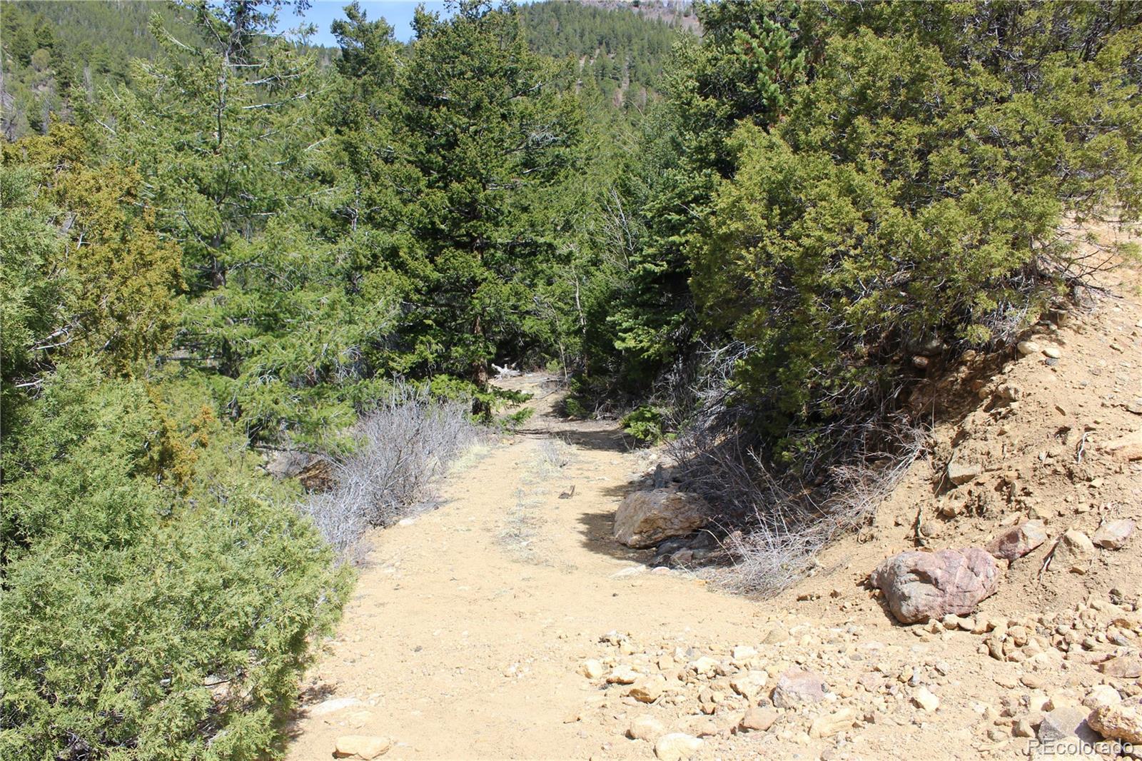 00 County Road 308 Idaho Springs CO 80436