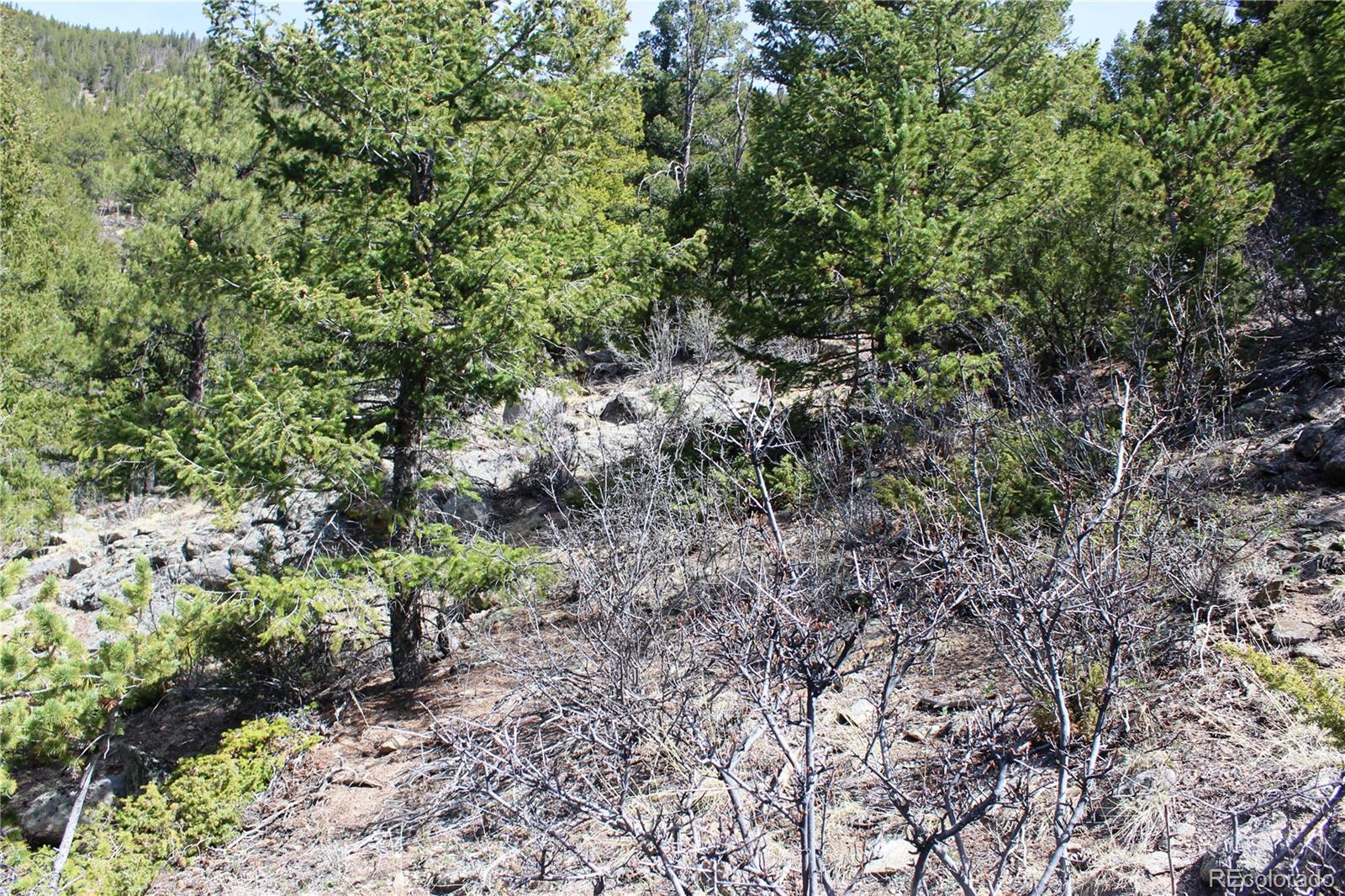 00 County Road 308 Idaho Springs CO 80436