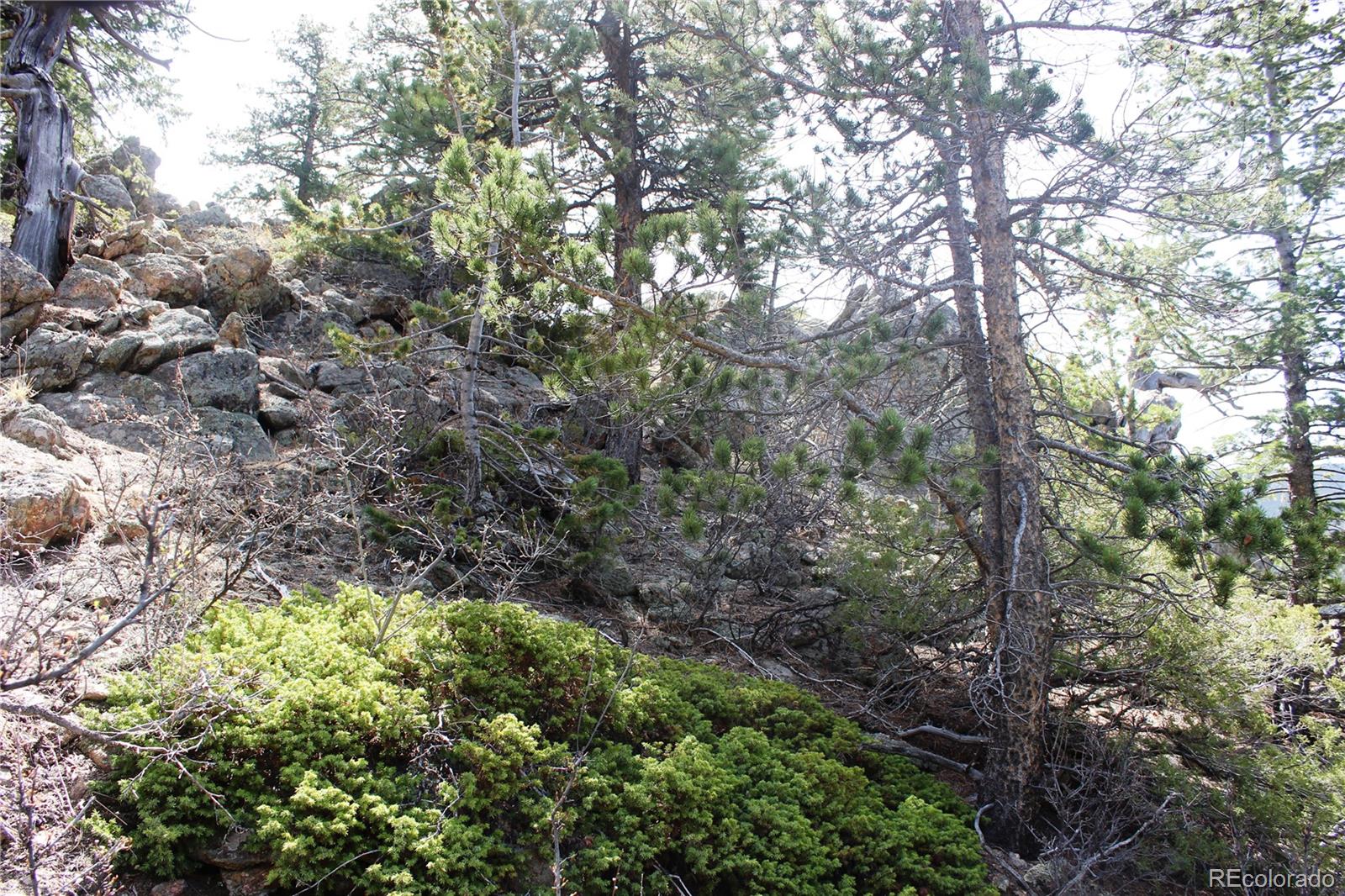 00 County Road 308 Idaho Springs CO 80436