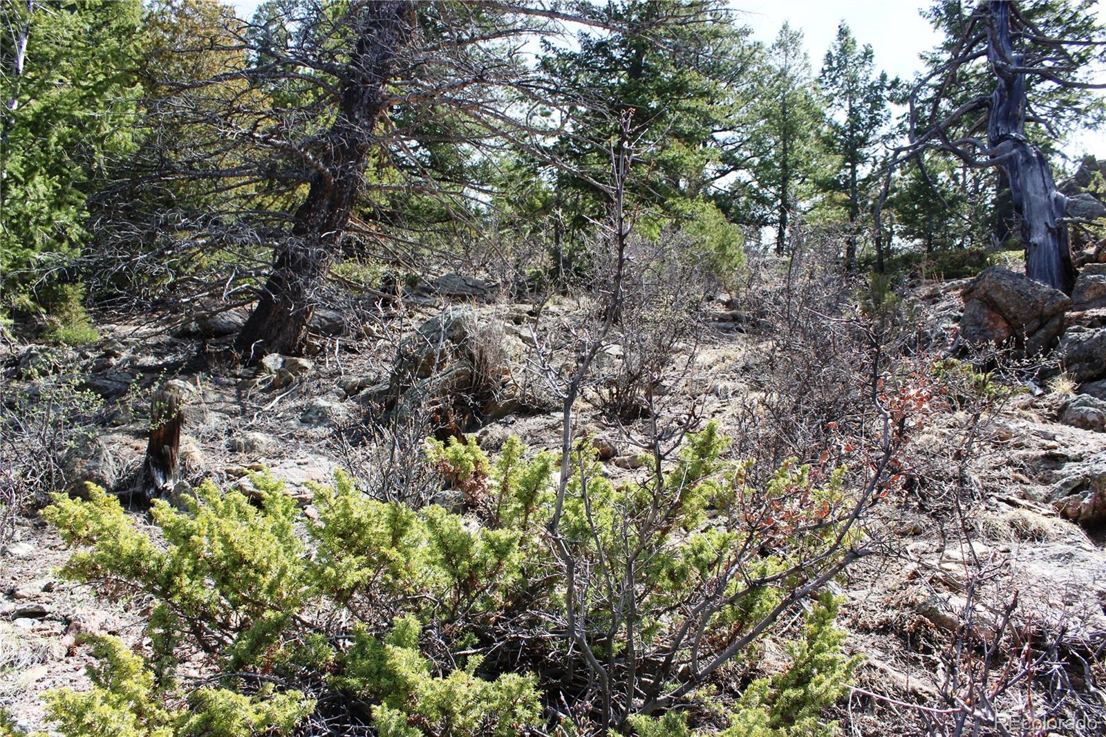 00 County Road 308 Idaho Springs CO 80436