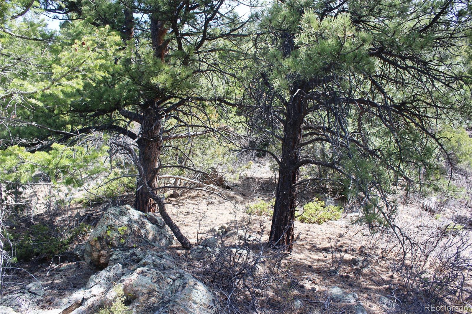 00 County Road 308 Idaho Springs CO 80436