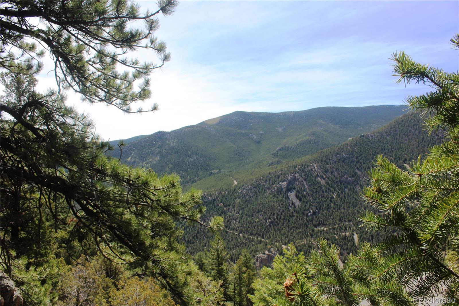 00 County Road 308 Idaho Springs CO 80436