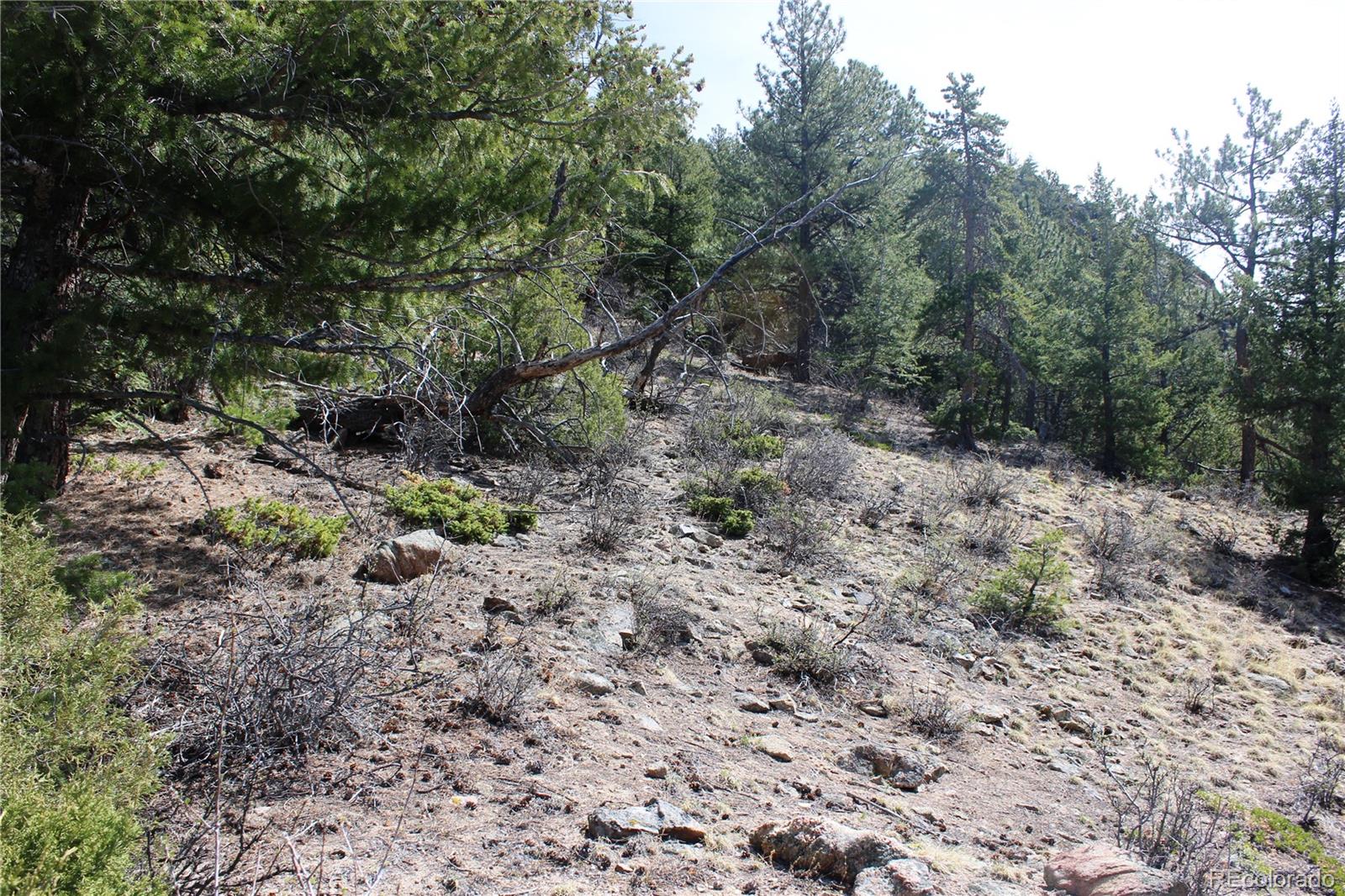 00 County Road 308 Idaho Springs CO 80436
