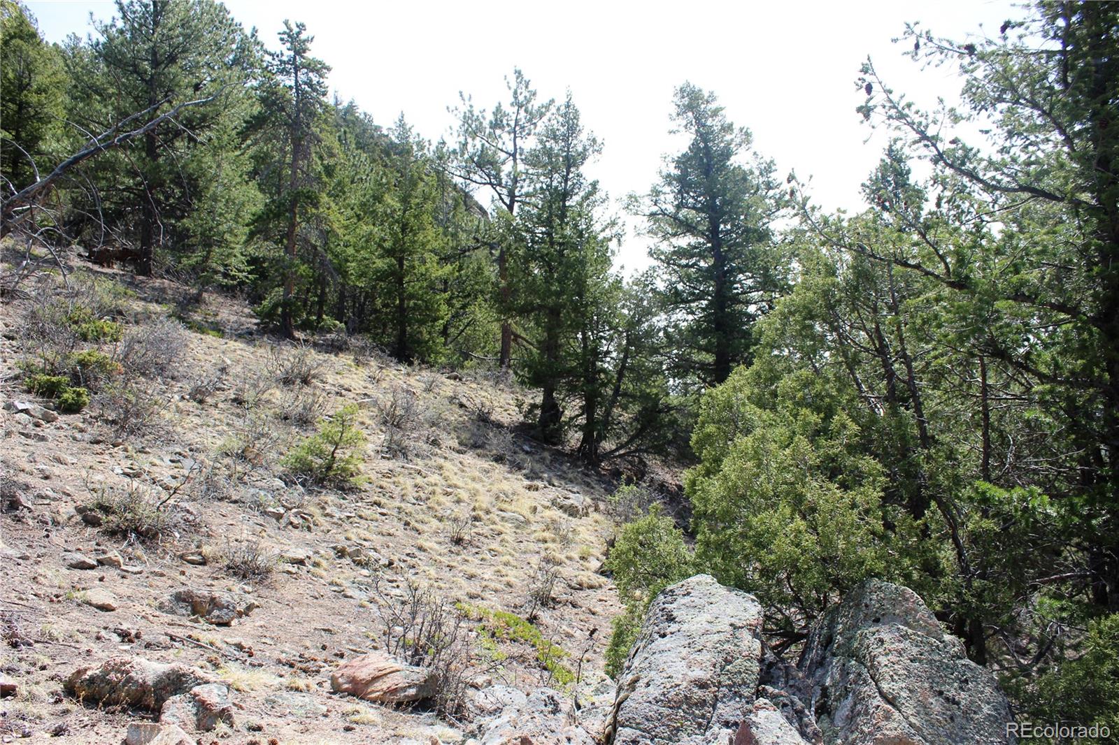 00 County Road 308 Idaho Springs CO 80436