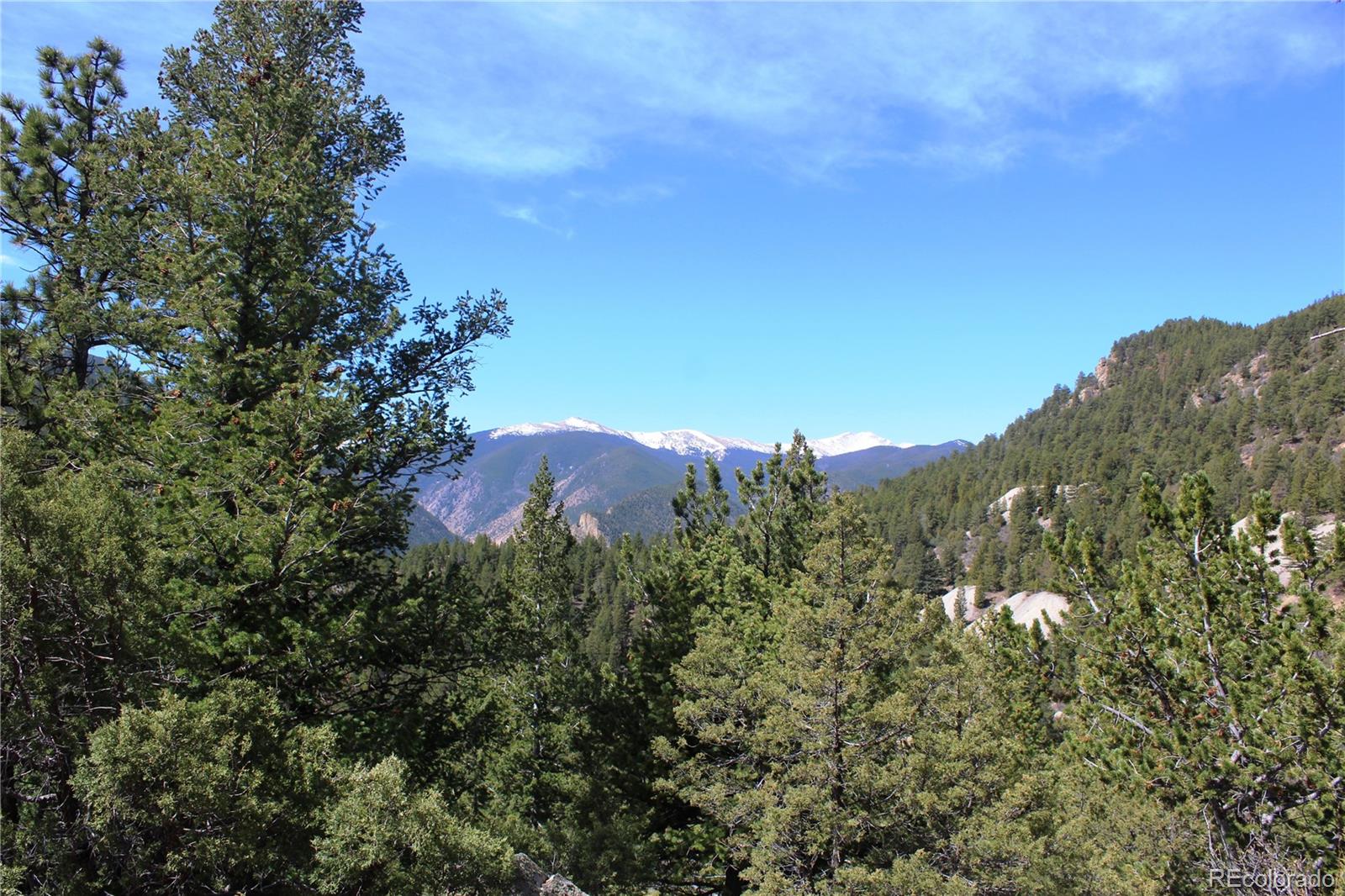 00 County Road 308 Idaho Springs CO 80436