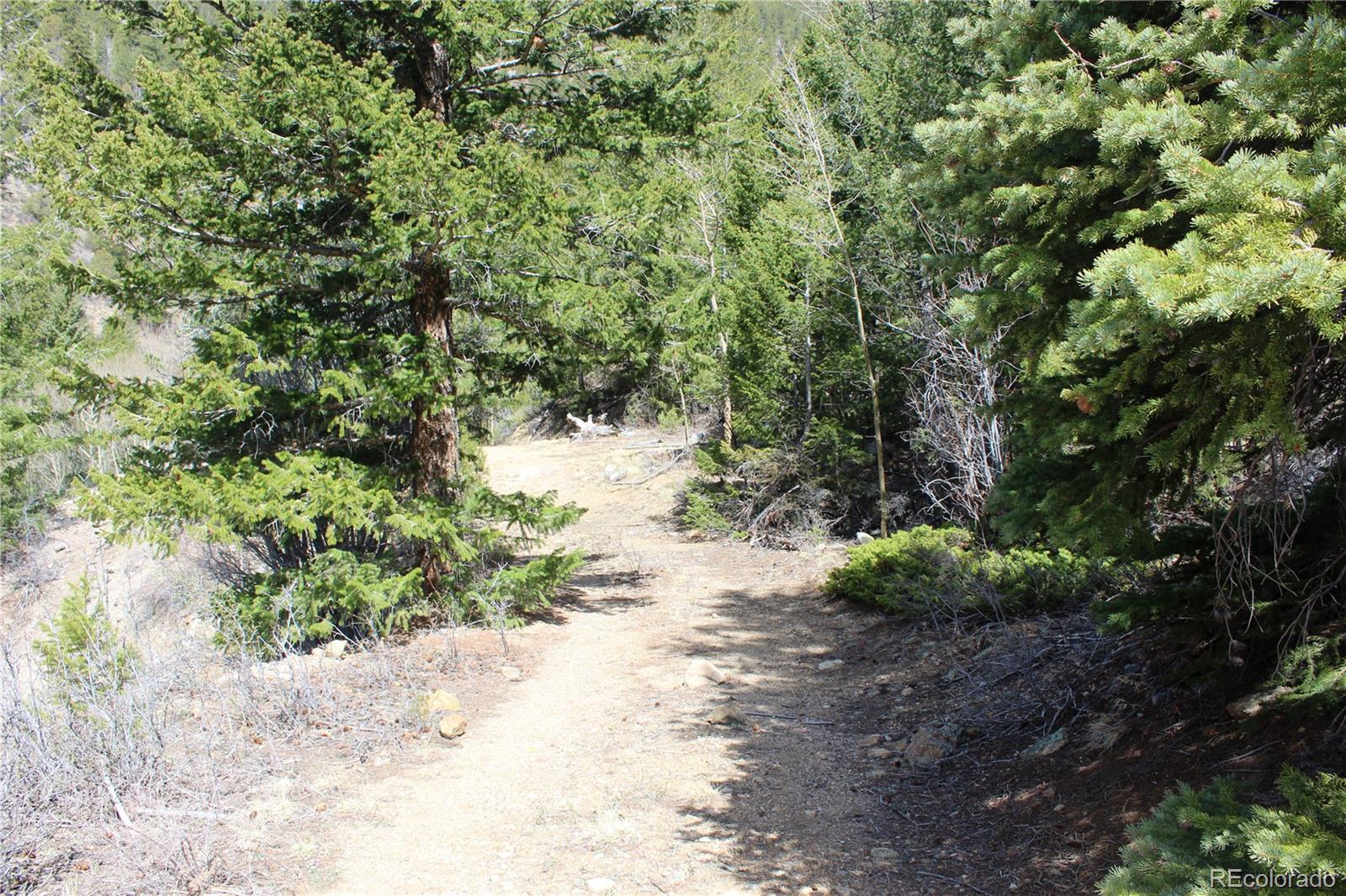 00 County Road 308 Idaho Springs CO 80436