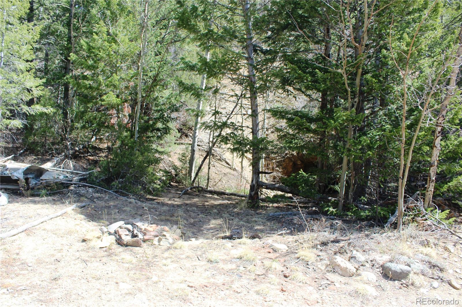 00 County Road 308 Idaho Springs CO 80436